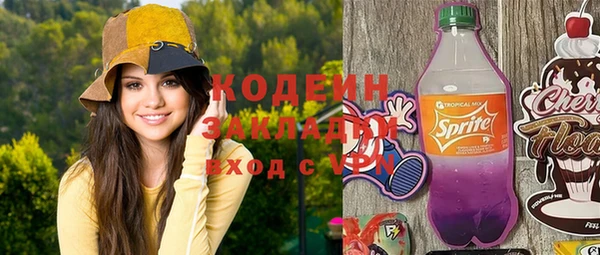 хмурый Алзамай