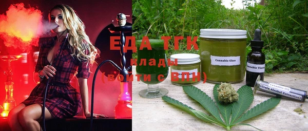 хмурый Алзамай